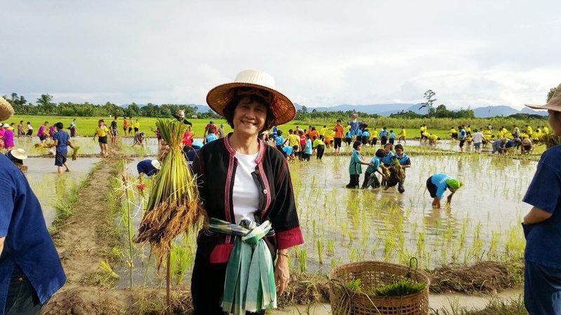 กปภ.สาขาตาก เข้าร่วมงานกิจกรรมปลูกข้าว ปลูกปัญญา เฉลิม ...