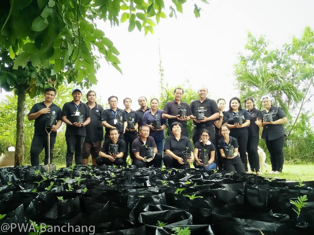 จากเมล็ดพันธุ์ สู่ต้นกล้าหนึ่ง ๑,๕๐๐ ต้น "ดาวเรืองเพื่อพ่อ"