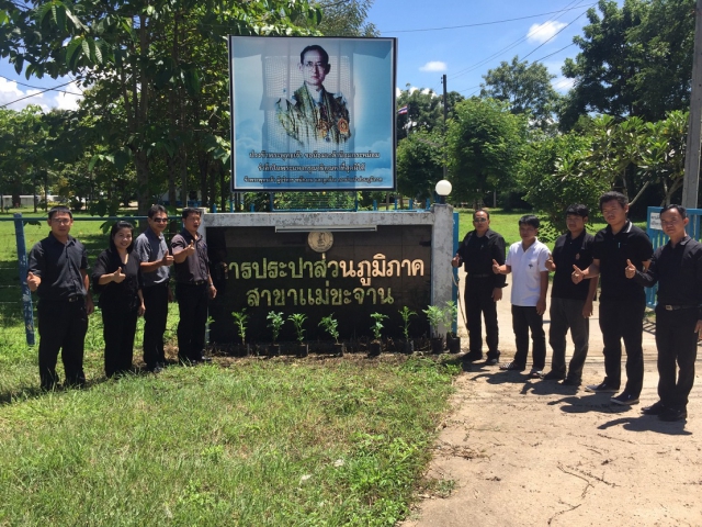 โครงการ ปลูกดอกดาวเรืองเพื่อพ่อ