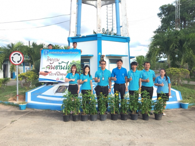 เมื่อวันพฤหัสบดีที่ 23 พฤศจิกายน 2560 การประปาส่วนภูมิภาคสาขาวัฒนานคร นำโดย นายพลวัฒน์ บุญสุทธิ ผจก.กปภ.สาขาวัฒนานคร พร้อมด้วยพนักงานและเจ้าหน้าที่ในสังกัด ร่วมกิจกรรมวันต้นไม้ประจำปีของชาติ โดยรอบบริเวณของสำนักงาน