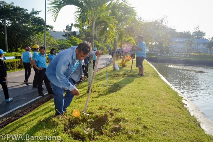 สาขาบ้านฉาง จัดกิจกรรมวันบำรุงรักษาต้นไม้ประจำปีของชาติ