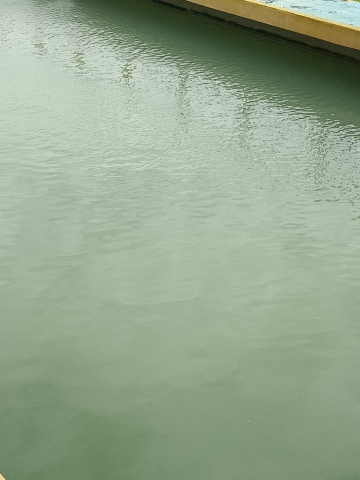 การประปาส่วนภูมิภาคสาขาคลองท่อมดำเนินการล้างถังตกตะกอน โรงกรองน้ำคลองท่อม