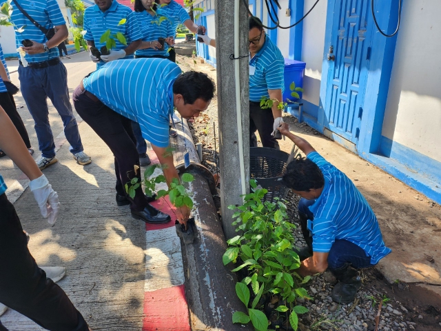 กปภ.สาขาสุราษฎร์ธานี(พ) จัดกิจกรรมกปภ.ปลูกป่าเพื่อแผ่นดิน เทิดพระเกียรติพระบาทสมเด็จพระบรมชนกาธิเบศร มหาภูมิพลอดุลยเดชมหาราช บรมนาถบพิตร (Father