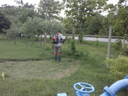 ไฟล์แนบ กปภ.สาขาจอมทอง  ร่วมจัดกิจกรรม ๕ส.  และปลูกต้นไม้ประจำปี ๒๕๕๕