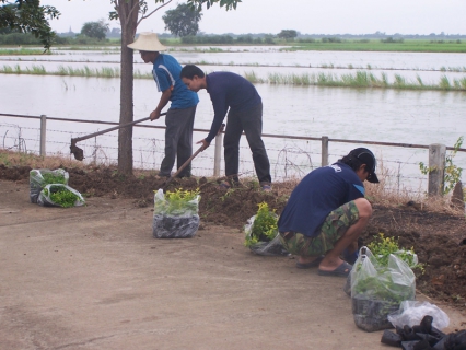 ไฟล์แนบ การประปาส่วนภูมิภาคสาขาเสนา ร่วมใจปรับปรุงภูมิทัศน์บริเวณสถานีผลิตน้ำบางบาล ซึ่งเป็นส่วนหนึ่งของโครงการจัดการน้ำสะอาด (Water Safety Plant)