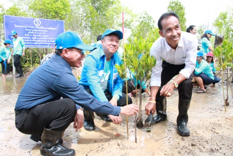 ไฟล์แนบ กปภ.ข.๕ และ กปภ.สาขากันตัง จัดกิจกรรมปลูกป่าชายเลน คืนระบบนิเวศสู่ทะเลตรัง ภายใต้โครงการ กปภ.รักษ์สิ่งแวดล้อม