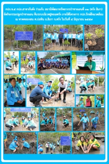 ไฟล์แนบ กปภ.ข.๕ และ กปภ.สาขากันตัง จัดกิจกรรมปลูกป่าชายเลน คืนระบบนิเวศสู่ทะเลตรัง ภายใต้โครงการ กปภ.รักษ์สิ่งแวดล้อม