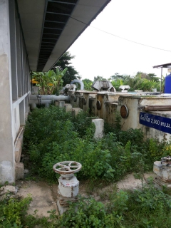 ไฟล์แนบ กปภ.สาขาอ้อมน้อย จัดกิจกรรม 5ส. ณ บริเวณสถานีจ่ายน้ำ ซ.วิรุณราษฎร์