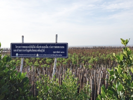 ไฟล์แนบ กปภ.สาขาสมุทรสาคร สานต่อโครงการ CSR ปลูกป่าชายเลนเพื่อป้องกันการกัดเซาะชายฝั่งทะเล