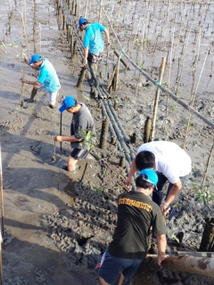 ไฟล์แนบ กปภ.สาขาสมุทรสาคร สานต่อโครงการ CSR ปลูกป่าชายเลนเพื่อป้องกันการกัดเซาะชายฝั่งทะเล