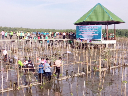 ไฟล์แนบ กปภ.สาขาสมุทรสาคร สานต่อโครงการ CSR ปลูกป่าชายเลนเพื่อป้องกันการกัดเซาะชายฝั่งทะเล
