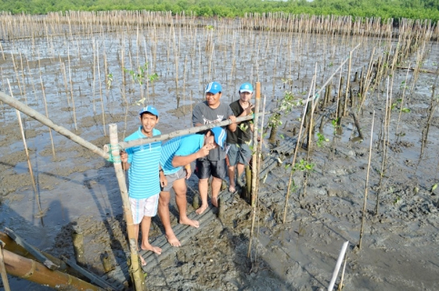 ไฟล์แนบ กปภ.สาขาสมุทรสาคร สานต่อโครงการ CSR ปลูกป่าชายเลนเพื่อป้องกันการกัดเซาะชายฝั่งทะเล