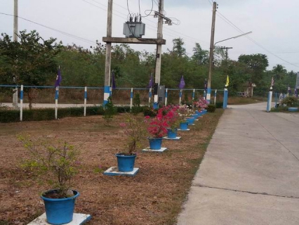 ไฟล์แนบ การประปาส่วนภูมิภาคสาขาบางสะพาน ประดับธงตราสัญลักษณ์เฉลิมพระเกียรติสมเด็จพระเทพฯ