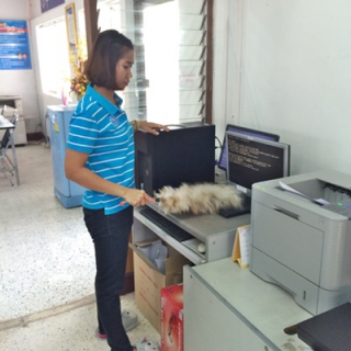 ไฟล์แนบ กปภ.สาขาพนมทวน จัดกิจกรรม Big Cleaning Day