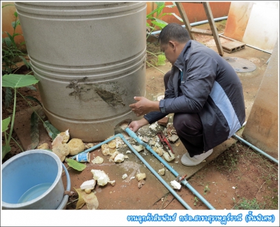 ไฟล์แนบ กปภ.สาขาสุราษฎร์ธานี (ชั้นพิเศษ) จัดโครงการมุ่งมั่นเพื่อปวงชน เฉลิมพระเกียรติ 60 พรรษา  สมเด็จพระเทพรัตนราชสุดา ฯ สยามบรมราชกุมารี ณ หมู่บ้านสวนกลางเมือง