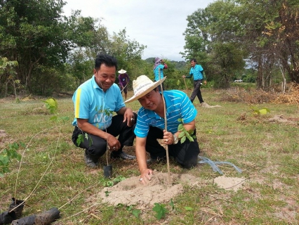 ไฟล์แนบ การประปาส่วนภูมิภาคสาขาเถิน ร่วมกิจกรรมปลูกป่าเฉลิมพระเกียรติวันแม่แห่งชาติ