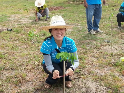 ไฟล์แนบ การประปาส่วนภูมิภาคสาขาเถิน ร่วมกิจกรรมปลูกป่าเฉลิมพระเกียรติวันแม่แห่งชาติ