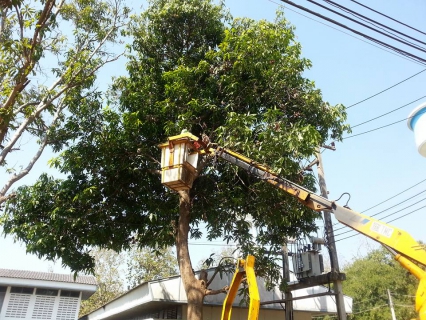 ไฟล์แนบ   การประปาส่วนภูมิภาคสาขาเถิน ร่วมกิจกรรม 5 ส.โดยทำกิจกรรมตัดแต่งกิ่งต้นไม้