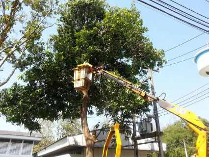 ไฟล์แนบ   การประปาส่วนภูมิภาคสาขาเถิน ร่วมกิจกรรม 5 ส.โดยทำกิจกรรมตัดแต่งกิ่งต้นไม้