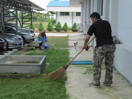 ไฟล์แนบ กปภ.สาขาอ้อมน้อย ดำเนินกิจกรรมปลูกต้นโกสน เพื่อปรับปรุงทัศนียภาพให้สวยงาม