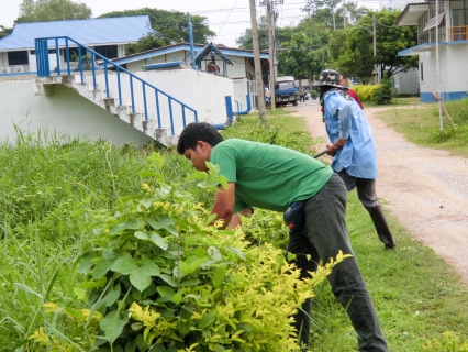 ไฟล์แนบ การประปาส่วนภูมิภาคสาขาสันกำแพง ได้ร่วมจัดกิจกรรม Big Cleaning Day  