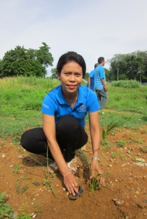 ไฟล์แนบ กปภ.สาขาสุไหงโก-ลก ร่วมกันปลูกต้นไม้ เนื่องในโอกาสวันแม่