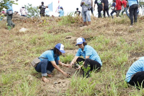 ไฟล์แนบ กปภ.สาขาพัทยา (พ) ร่วมปลูกไม้ยืนต้นเฉลิมพระเกียรติสมเด็จพระนางเจ้าสิริกิติ์ พระบรมราชินีนาถ