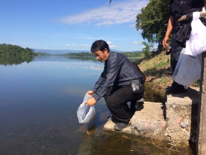 ไฟล์แนบ กิจกรรมปล่อยปลาเพื่อถวายเป็นพระราชกุศลแด่พระบาทสมเด็จพระปรมินทรมหาภูมิพลอดุลเดช