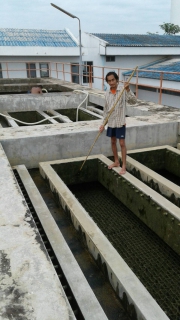 ไฟล์แนบ กปภ.สาขาปากท่อ โดยนายประจักร แสงรุ่งเรือง หัวหน้างานผลิต ทำความสะอาดล้างถังตกตะกอนตามแผน WSP ประจำเดือน พฤศจิกายน 2559 ณ สถานีผลิตน้ำไพรสะเดา