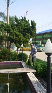 ไฟล์แนบ การประปาส่วนภูมิภาคสาขาสามพราน ร่วมจัดกิจกรรมรณรงค์รักษาความสะอาด                 (Big Cleaning Day) บริเวณรอบ ๆ สำนักงาน  ในช่วงเช้าวันจันทร์ ที่ 23 มกราคม 2560 