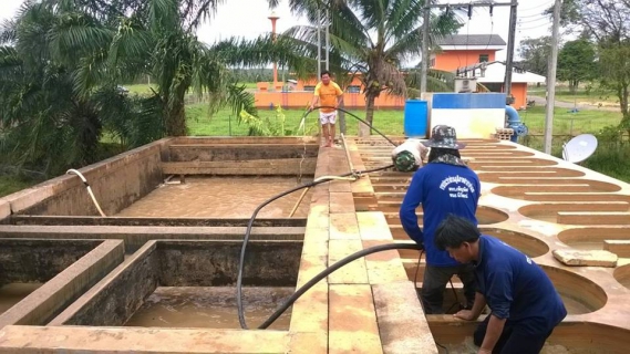 ไฟล์แนบ กปภ.สาขาท่าแซะ ทำความสะอาดโรงกรองน้ำ หน่วยบริการปะทิว