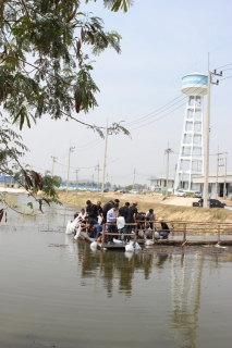 ไฟล์แนบ กปภ.สาขาพัทยา (พ) ปล่อยพันธุ์ปลาและปลูกต้นไม้ เนื่องในโอกาสครบรอบ ๓๘ ปี กปภ.