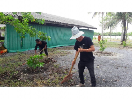 ไฟล์แนบ กปภ.สาขาปากพนัง ร่วมมือร่วมใจจัดกิจกรรม CSR ณ บริเวณวัดรัตนาราม (วัดบางบ่อ)