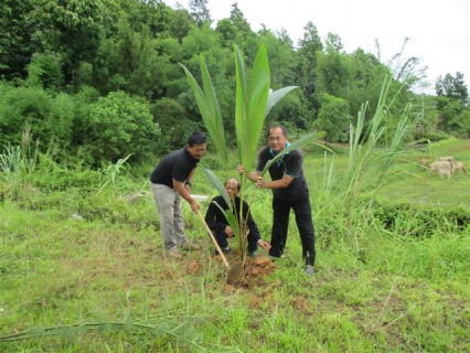 ไฟล์แนบ การประปาส่วนภูมิภาคสาขาเวียงเชียงจัดกิจกรรมปลูกต้นไม้ประจำปีของชาติ พ.ศ.2560 