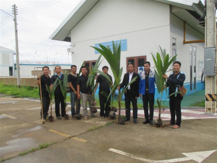 ไฟล์แนบ การประปาส่วนภูมิภาคสาขาเวียงเชียงจัดกิจกรรมปลูกต้นไม้ประจำปีของชาติ พ.ศ.2560 