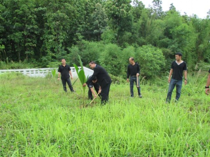 ไฟล์แนบ การประปาส่วนภูมิภาคสาขาเวียงเชียงจัดกิจกรรมปลูกต้นไม้ประจำปีของชาติ พ.ศ.2560 