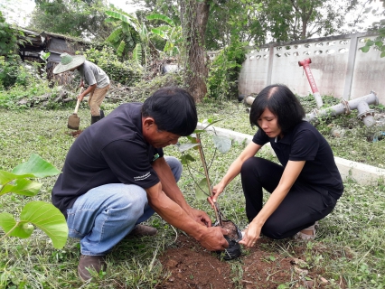 ไฟล์แนบ กปภ.สาขาเกาะคา ร่วมกันจัดกิจกรรมปลูกต้นไม้ เนื่องในวันต้นไม้ประจำปีของชาติ พ.ศ.2560