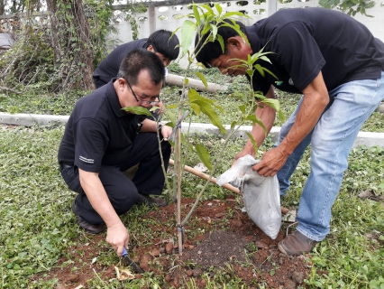 ไฟล์แนบ กปภ.สาขาเกาะคา ร่วมกันจัดกิจกรรมปลูกต้นไม้ เนื่องในวันต้นไม้ประจำปีของชาติ พ.ศ.2560
