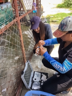 ไฟล์แนบ กรมอนามัย ร่วมกับ นักวิทย์ กปภ. ตรวจคุณภาพน้ำประปาบ้านฉาง