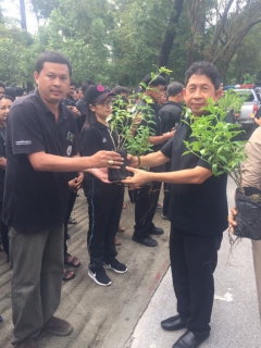 ไฟล์แนบ กปภ.สาขาท้ายเหมือง ร่วมกิจกรรมรวมพลังแห่งความภักดี ปลูกบานบุรีสีเหลืองในดวงใจ