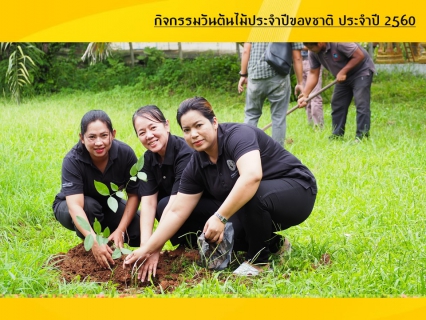 ไฟล์แนบ กปภ.สาขาบ้านนาสารจัดกิจกรรมวันต้นไม้ประจำปีของชาติ ประจำปี 2560