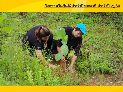 ไฟล์แนบ กปภ.สาขาบ้านนาสารจัดกิจกรรมวันต้นไม้ประจำปีของชาติ ประจำปี 2560