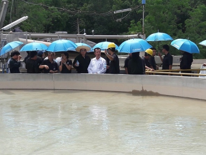 ไฟล์แนบ เข้าร่วมศึกษาดูงานจัดการน้ำสะอาด (WSP) กับมาตรฐานการปฏิบัติงาน 