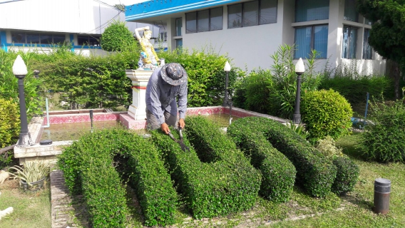 ไฟล์แนบ การประปาส่วนภูมิภาคสาขาสามพราน ร่วมกันทำความสะอาดโดยรอบสำนักงาน ในช่วงเช้าวันจันทร์ ที่ 19 มิถุนายน 2560 