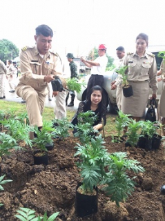 ไฟล์แนบ เข้าร่วมกิจกรรมปลูกดอกดาวเรืองเพื่อถวายเป็นพระราชกุศลแด่พระบาทสมเด็จพระเจ้าอยู่หัว รัชกาลที่ 9