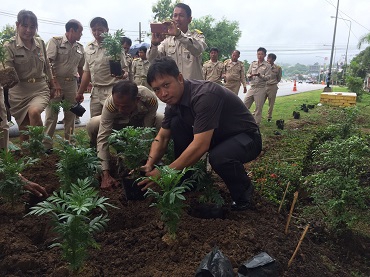 ไฟล์แนบ เข้าร่วมกิจกรรมปลูกดอกดาวเรืองเพื่อถวายเป็นพระราชกุศลแด่พระบาทสมเด็จพระเจ้าอยู่หัว รัชกาลที่ 9