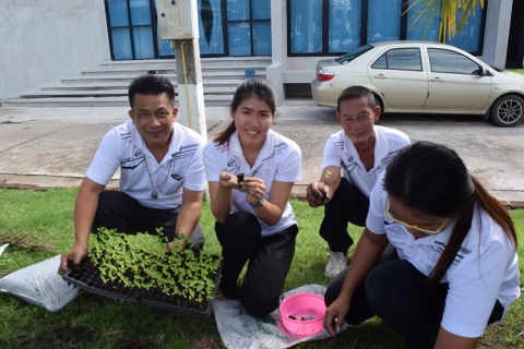 ไฟล์แนบ กปภ.สาขากำแพงเพชร ร่วมใจปลูกดอกดาวเรือง ซึ่งเป็นสีวันพระราชสมภพของพระบาทสมเด็จพระปรมินทรมหาภูมิพลอดุลยเดช