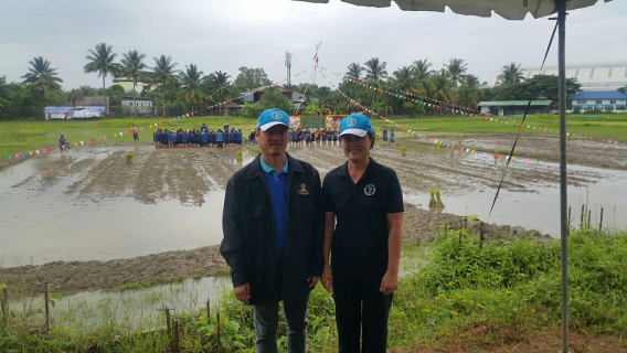 ไฟล์แนบ นายกมล ประดุงรุก ผู้จัดการการประปาส่วนภูมิภาคสาขาแม่สอด มอบหมายให้ นางจินดา เดชเดชา หัวหน้างานอำนวยการ และ นายเกียรติพงษ์ กาญจนหย่า หัวหน้างานจัดเก็บรายได้ ร่วมกิจกรรม "ลงแขกดำนา สืบสานความดีตามรอยเท้าพ่อ" ภายใต้ความร่วมมือของครูภูมิปัญญาท้องถิ่น คณะกรรมการสถานศึกษาขั้นพื้นฐาน คณะกรรมเครือข่ายผู้ปกครอง กลุ่มเกษตรทำนาแม่สอด ผู้ปกครองนักเรียน และภาคีเครือข่ายทางการศึกษาของโรงเรียน
