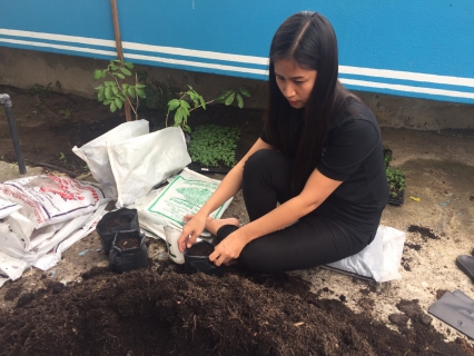 ไฟล์แนบ กปภ.สาขาสมุทรสงคราม ร่วมปลูกต้นดาวเรือง ถวายเป็นราชสักการะเนื่องในพระราชพิธีถวายพระเพลิงพระบรมศพพระบาทสมเด็จพระปรมินทรมหาภูมิพลอดุลยเดช 