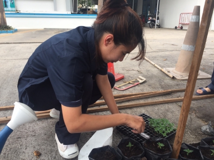 ไฟล์แนบ กปภ.สาขาสมุทรสงคราม ร่วมปลูกต้นดาวเรือง ถวายเป็นราชสักการะเนื่องในพระราชพิธีถวายพระเพลิงพระบรมศพพระบาทสมเด็จพระปรมินทรมหาภูมิพลอดุลยเดช 